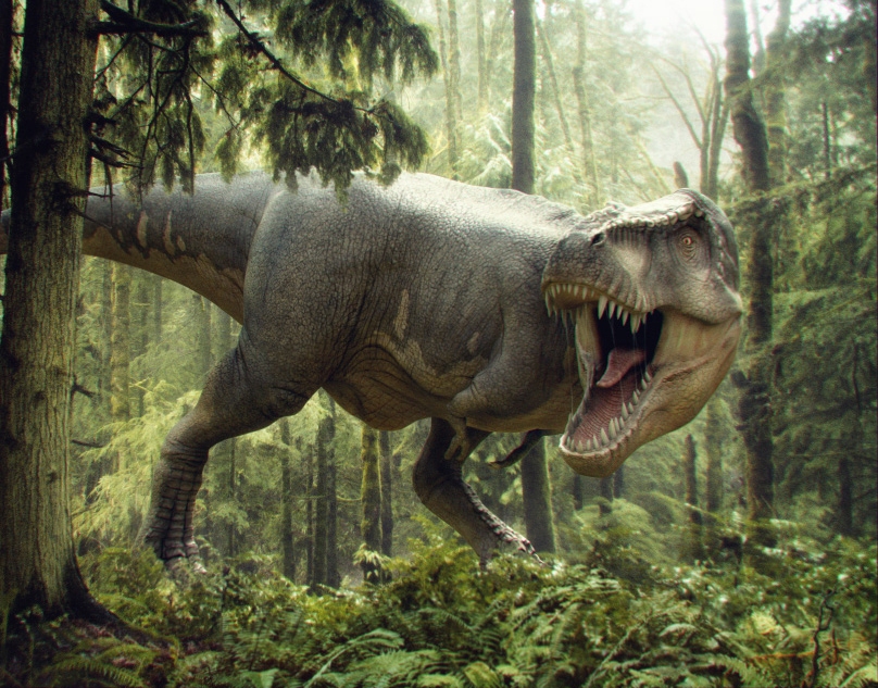 Ученые впервые нашли у динозавров эрогенные зоны