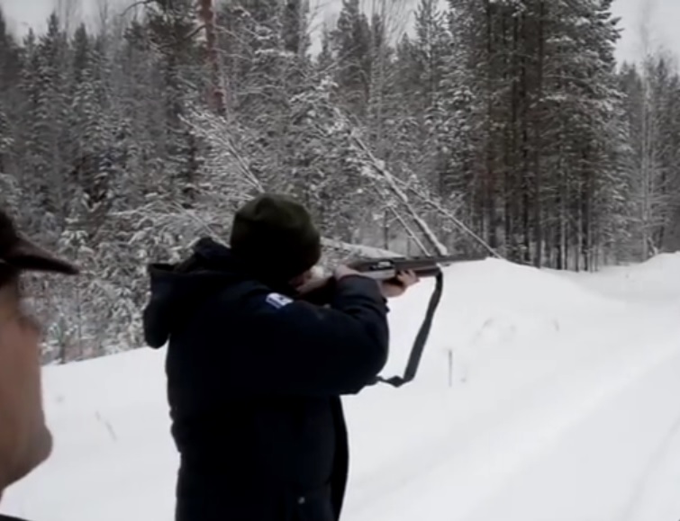 Егерь рассказал подробности охоты Сергея Левченко на спящего медведя