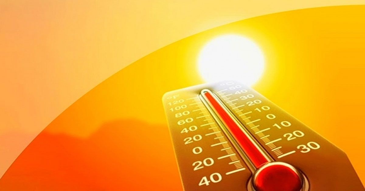 Климатологи предсказали рост смертности от аномальной жары 