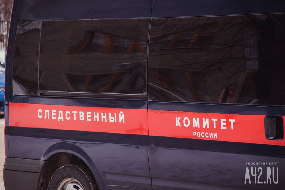 В Следкоме Кузбасса поведали об результатах расследования убийства Вики Реймер В Следкоме Кузбасса поведали об результатах расследования убийства Вики Реймер