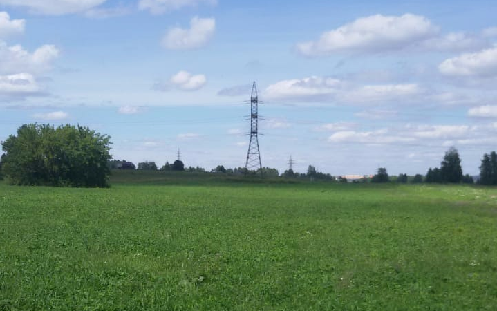 Рекультивированный участок Беловской ГРЭС