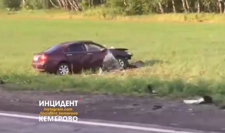 Причиной дтп стал бобер гей