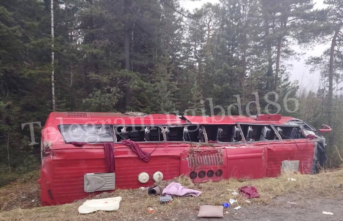 Бұйра порно смотреть онлайн