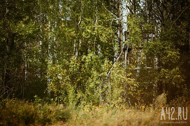 Фото: архив A42.RU