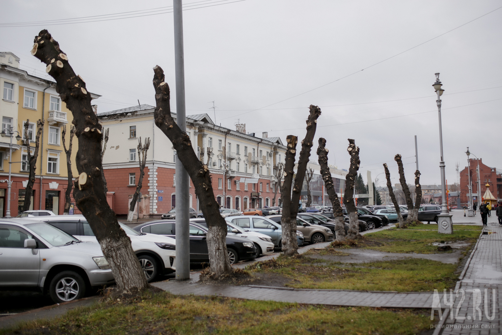 Уродливые, но безопасные: зачем в Кемерове каждый год пилят деревья