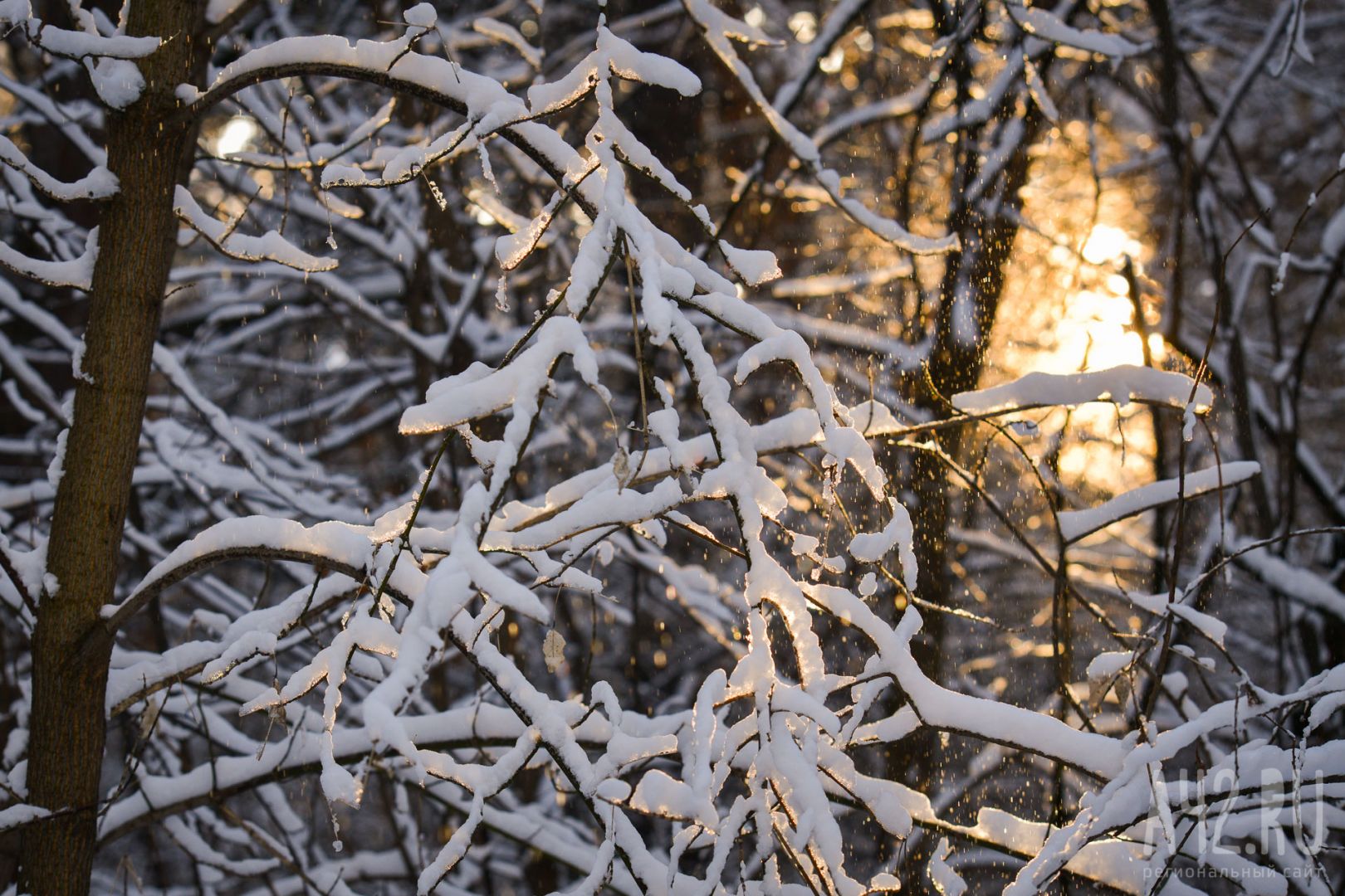 Погода февраль кемерово. Прогноз погоды изморозь. Фото дня на Яндексе сегодня.