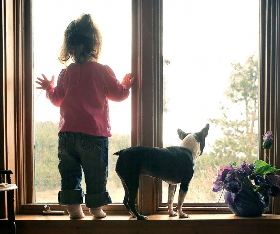 Фото: flickr.com
