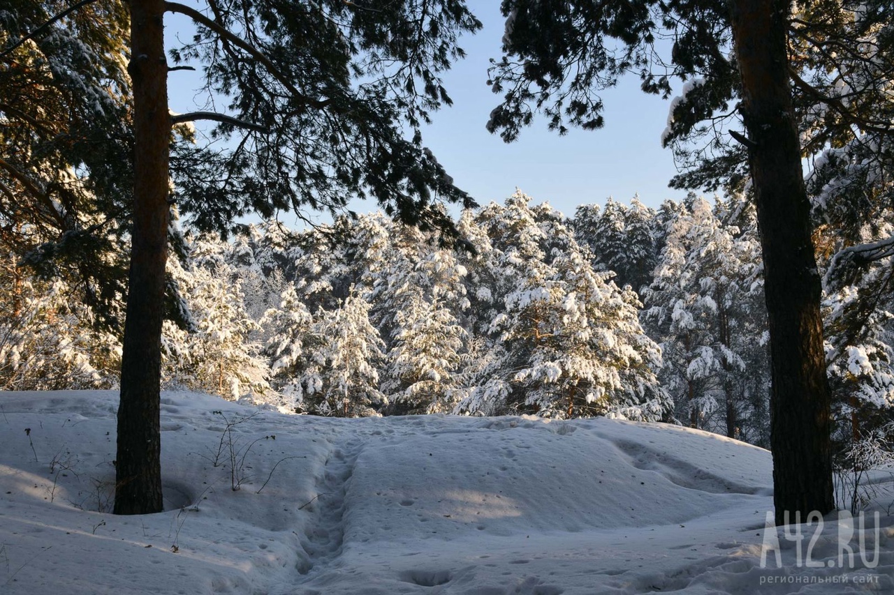 Синоптики рассказали о погоде в Кузбассе 16 января тепло