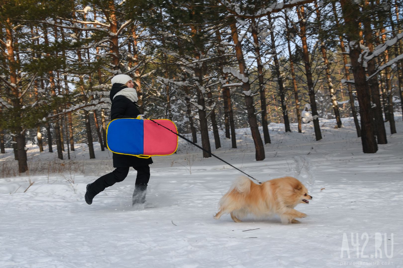 Когда потеплеет в кузбассе