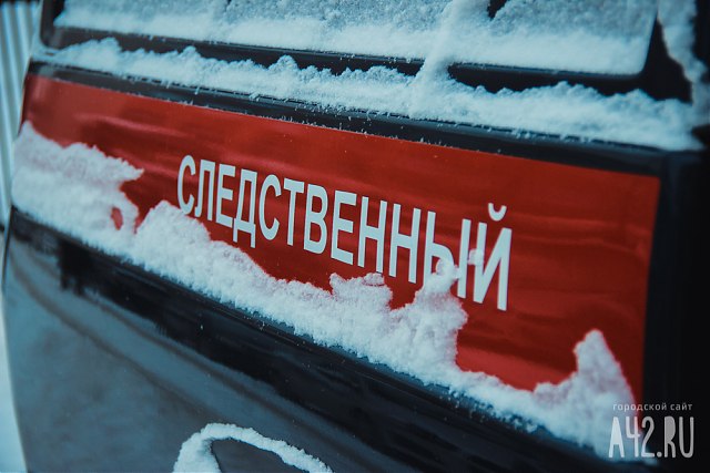 В Барнауле пятилетний мальчик пожаловался на своих родителей в СК В Барнауле пятилетний мальчик пожаловался на своих родителей в СК